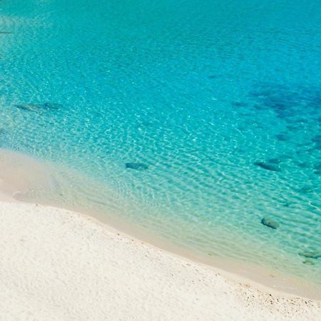 Villasoledad Appartamenti Per Vacanze Capoliveri  Buitenkant foto