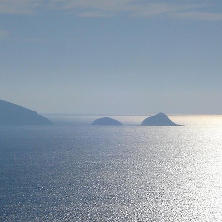 Villasoledad Appartamenti Per Vacanze Capoliveri  Buitenkant foto